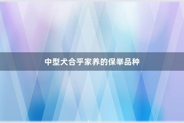 中型犬合乎家养的保举品种